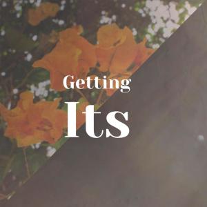 Listen to Irwin Fellow song with lyrics from Charel Maann