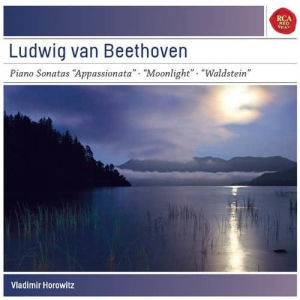 收聽Vladimir Horowitz的Piano Sonata No. 14 in C-Sharp Minor, Op. 27, No. 2 "Moonlight": Allegretto歌詞歌曲
