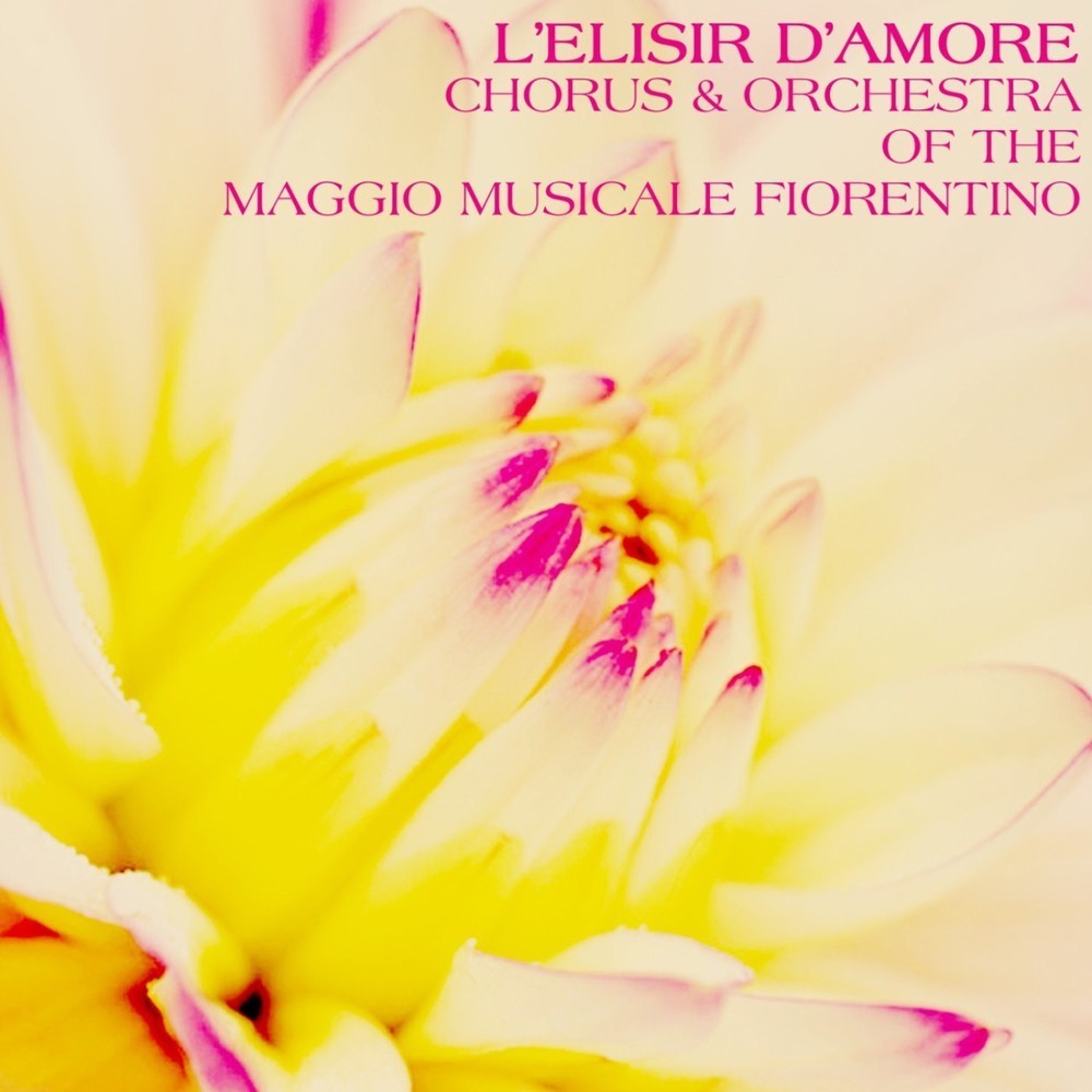 L'Elisir D'Amore, Act I, Pt. 3