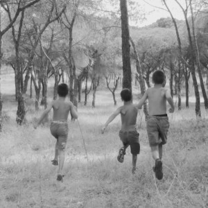 Listen to Ainda Não Acabei song with lyrics from Manel Cruz