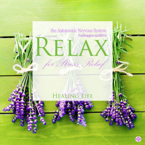 Relax the Autonomic Nervous System for Stress Relief (Solfeggio 528Hz)