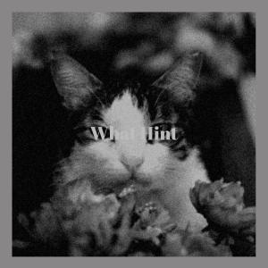 Listen to Tight Ocular song with lyrics from Cathia Blaisette