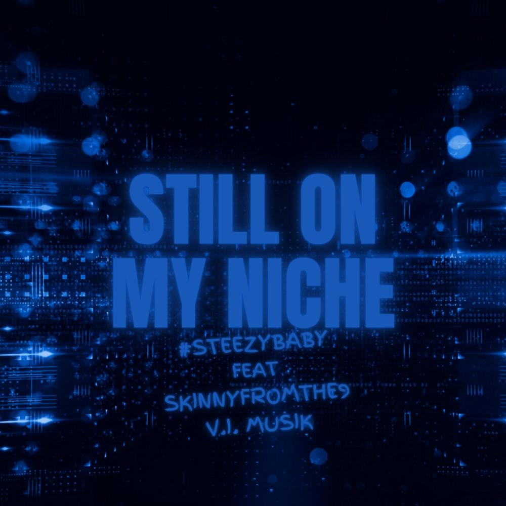 Still On My Niche (feat. Skinnyfromthe9 & V.I. Musik) (Explicit)
