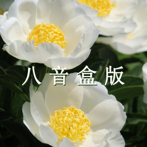 Album 幸福之音 实现美好生活的轻音乐八音盒版 oleh 疗愈音律