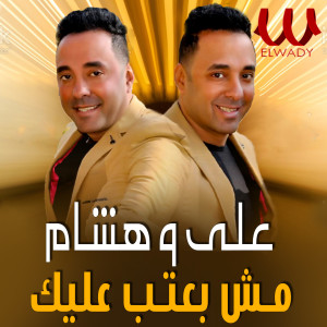 Listen to انا مش بعتب عليك song with lyrics from Ali