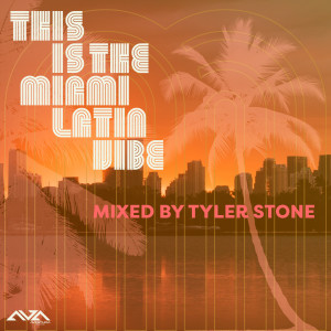 Listen to Sombras of Your Love (Tyler Stone Latin Jazz Mix) song with lyrics from Antuan Nunez