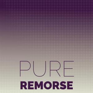 Album Pure Remorse from Various