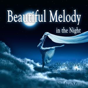 Listen to Moonlight Angel song with lyrics from NADAN