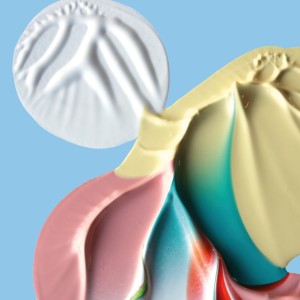 ดาวน์โหลดและฟังเพลง TERRA PART II พร้อมเนื้อเพลงจาก KALEIIDO