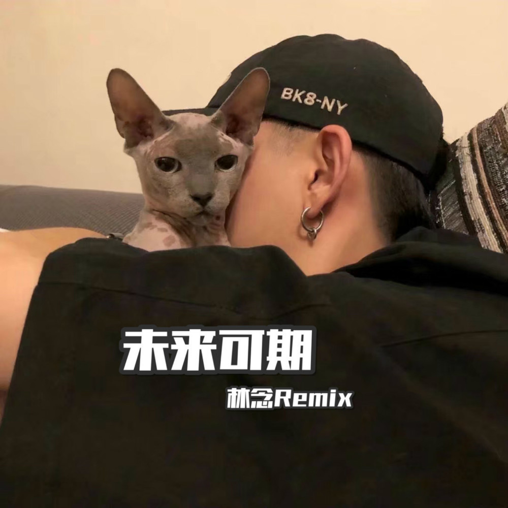 沈城电摇 (DJ版)