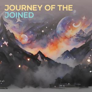 Aksel的專輯Journey of the Joined (Cover)