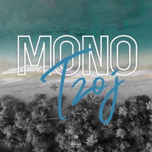 Album Mono (Explicit) from TZOJ