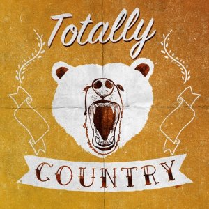 收聽American Country Hits的Mr. Policeman歌詞歌曲