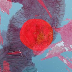 收听Francisco Sales的Grito No Silêncio歌词歌曲