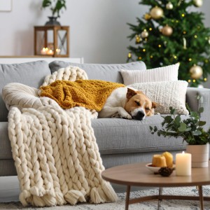 ดาวน์โหลดและฟังเพลง Melodías Serenas Para Momentos De Tranquilidad พร้อมเนื้อเพลงจาก Melodías para Mascotas