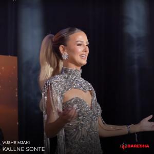 ดาวน์โหลดและฟังเพลง Kallne sonte พร้อมเนื้อเพลงจาก Vushe Mjaki