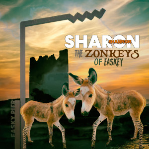 Sharon Shannon的專輯The Zonkeys of Easkey