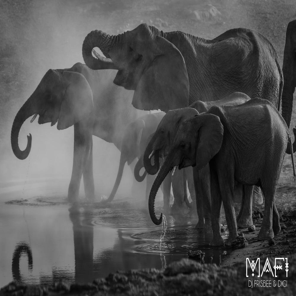 Mafi (feat. DiGi)