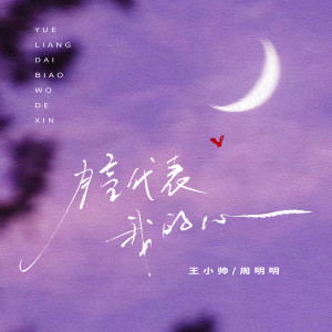 王小帅的专辑月亮代表我的心