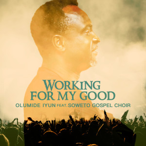Olumide Iyun的專輯Working for My Good