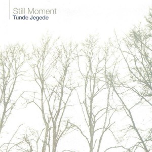 Tunde Jegede的專輯Still Moment