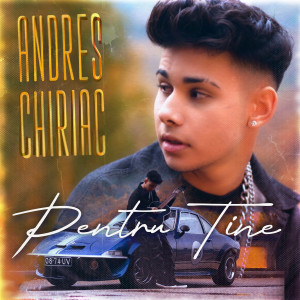 Listen to Pentru Tine song with lyrics from Andres Chiriac