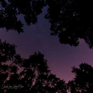 Album Distance from 