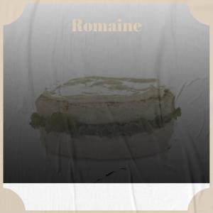 Listen to Gridelin Frying song with lyrics from Kaca Prog
