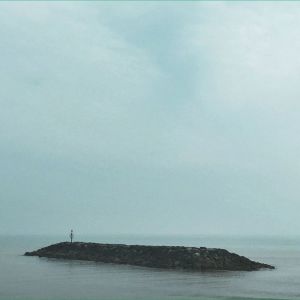 อัลบัม Seafields ศิลปิน Moss Covered Technology