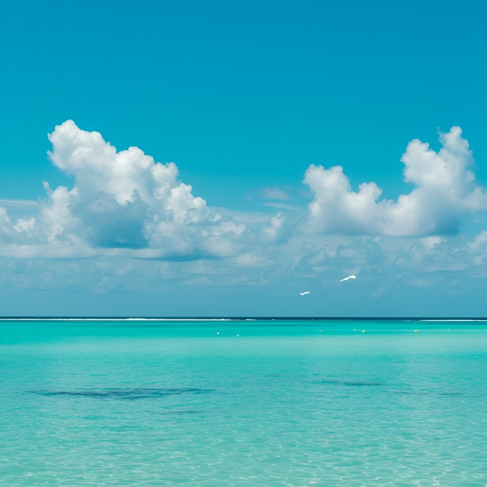 Lagoon Air