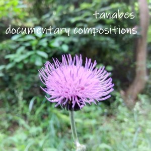 Album documentary compositions from tanabes