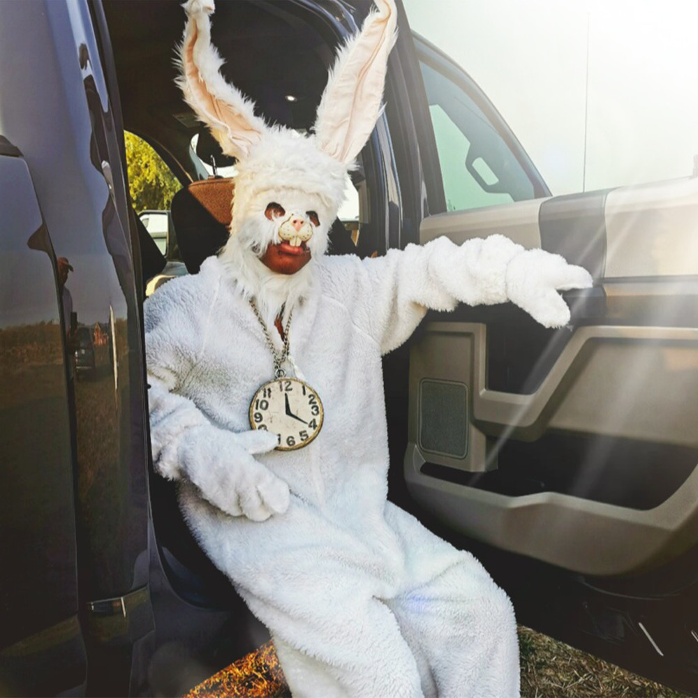 Rabbit Hole