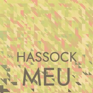 Various Artists的專輯Hassock Meu