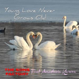 收聽The Song Factory的Young Love Never Grows Old歌詞歌曲