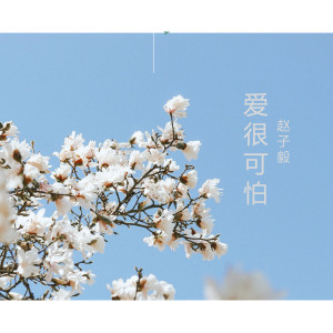 收听赵子毅的爱很可怕歌词歌曲
