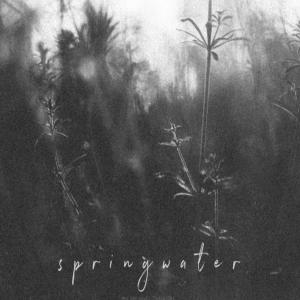 收聽Springwater的A PART OF NATURE歌詞歌曲