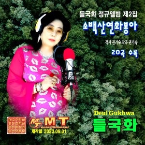 Album 소백산연화봉아 from 들국화