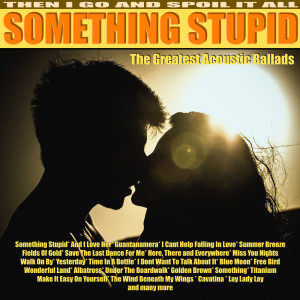 อัลบัม Something Stupid - My Acoustic Moods ศิลปิน Tim Barton