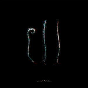 ดาวน์โหลดและฟังเพลง Sign. พร้อมเนื้อเพลงจาก a crowd of rebellion