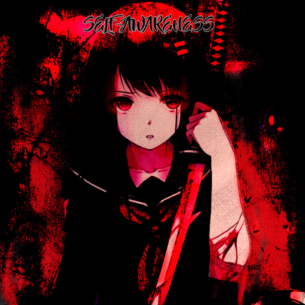 SELF-AWARENESS (Explicit)