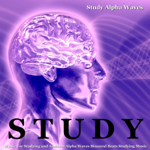 ดาวน์โหลดและฟังเพลง Study Alpha Waves for Studying พร้อมเนื้อเพลงจาก Study Alpha Waves