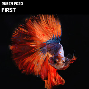 Album First from Ruben Pozo