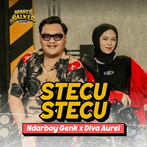 Ndarboy Genk的專輯Stecu Stecu