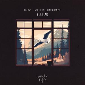 ดาวน์โหลดและฟังเพลง Fulmar พร้อมเนื้อเพลงจาก Dolow