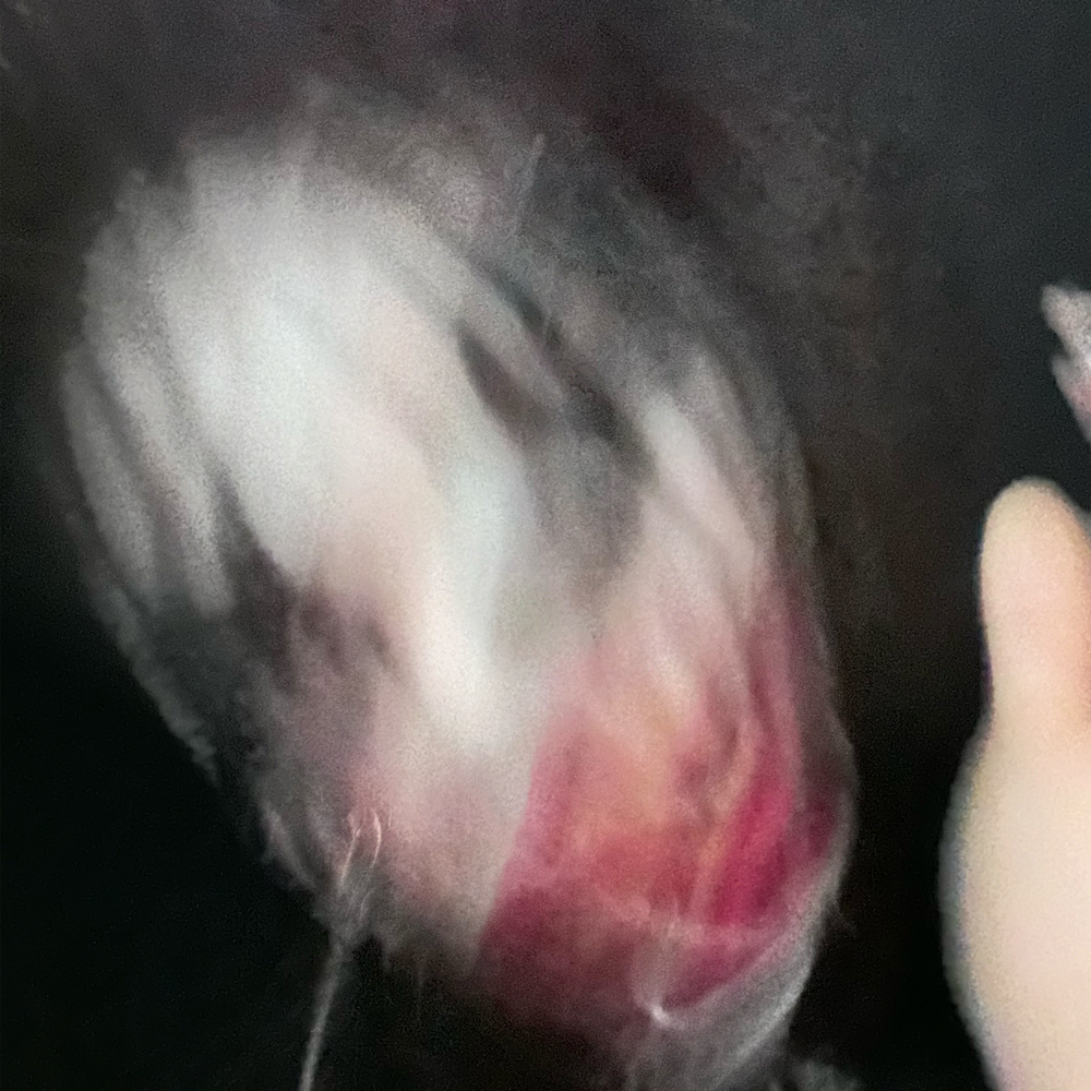 YOU