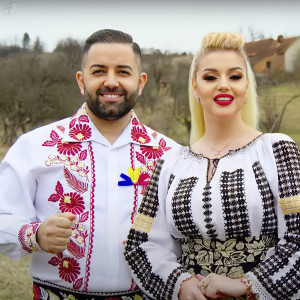 Listen to Străin in Tară Străina song with lyrics from Dani Bănăteanu
