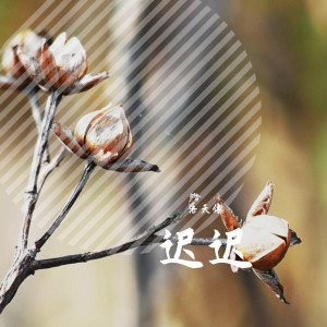 收聽洛天依的難生恨歌詞歌曲