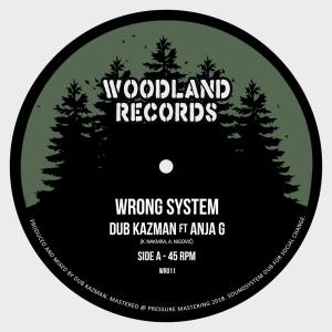 Album Wrong System from Dub Kazman