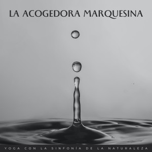 Album La Acogedora Marquesina: Yoga Con La Sinfonía De La Naturaleza oleh Naturaleza FX