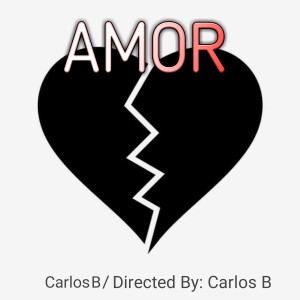 Album Amor from Carlos B